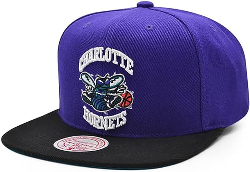 Men's Charlotte Hornets Mitchell & Ness NBA Core Basic HWC Purple/Black Snapback Hat - Pro Jersey Sports