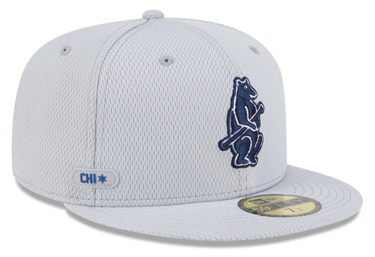 Chicago Cubs New Era Gray 2025 Clubhouse 59FIFTY Fitted Hat - Pro Jersey Sports