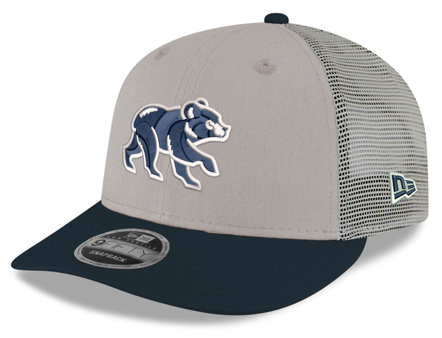 Chicago Cubs New Era Stone/Navy Spring Training Bear Low Profile 9FIFTY Mesh Back Snapback Adjustable Hat - Pro Jersey Sports