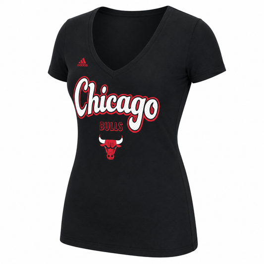 Womens Chicago Bulls Mesh Arch Outline V Neck Tee