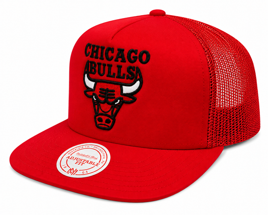 Chicago Bulls Mitchell & Ness NBA Evergreen Trucker Snapback Hat