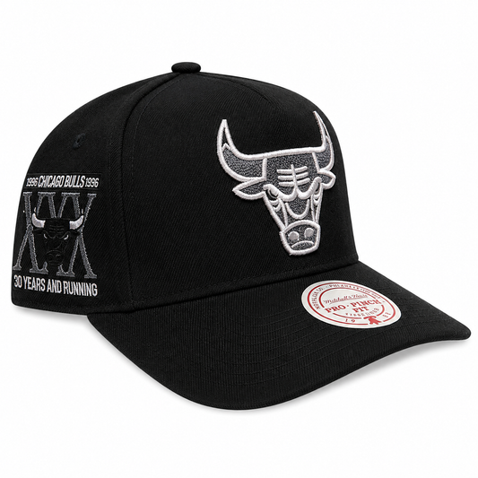 Chicago Bulls Mitchell & Ness NBA Core Jordan XI Pro Snapback Hat