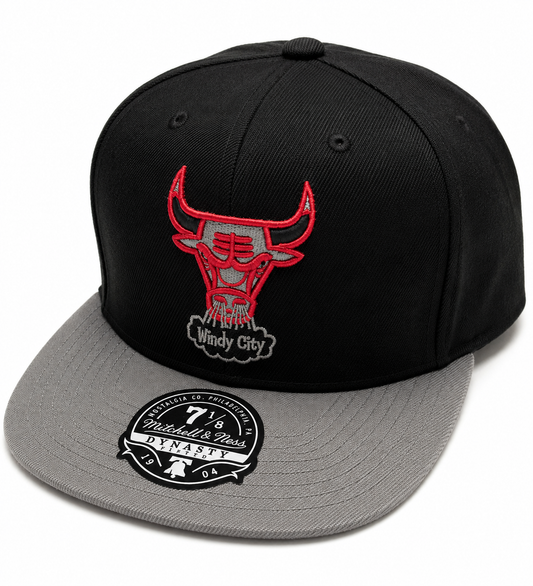 Men's Chicago Bulls Mitchell & Ness Hardwood Classics 2 Tone Black/Gray Reload 2.0 Dynasty Fitted Hat