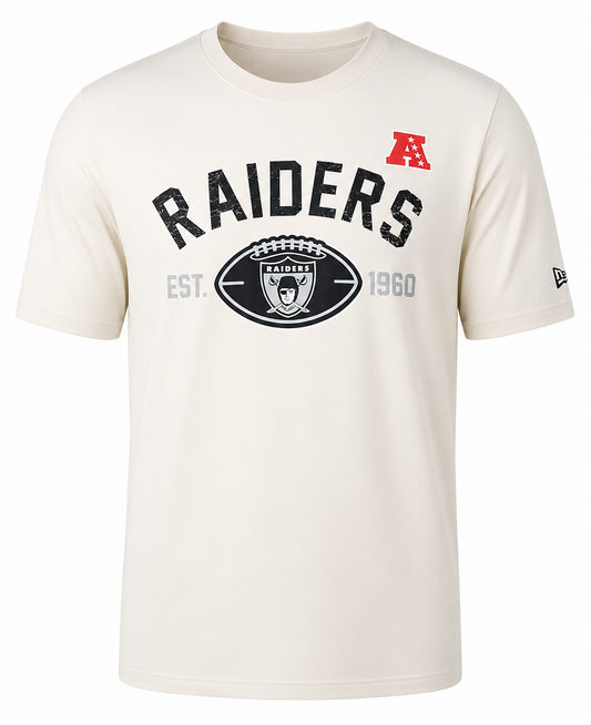 Men's Las Vegas Raiders Stone 2024 Historic New Era Tee