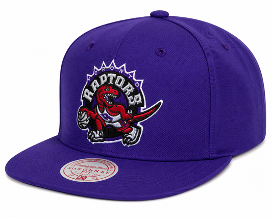 Men's Toronto Raptors Ground 2.0 Purple Snapback Hat By Mitchell & Ness
