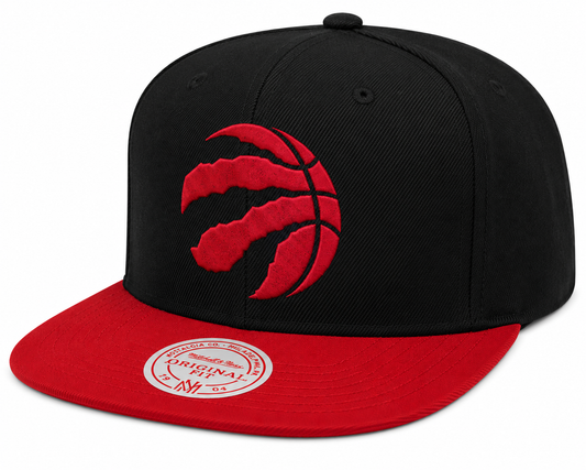Men's Toronto Raptors 2-Tone 2.0 Snapback Hat By Mitchell & Ness