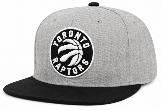Toronto Raptors Mitchell & Ness Gray Black Pop Snapback Hat