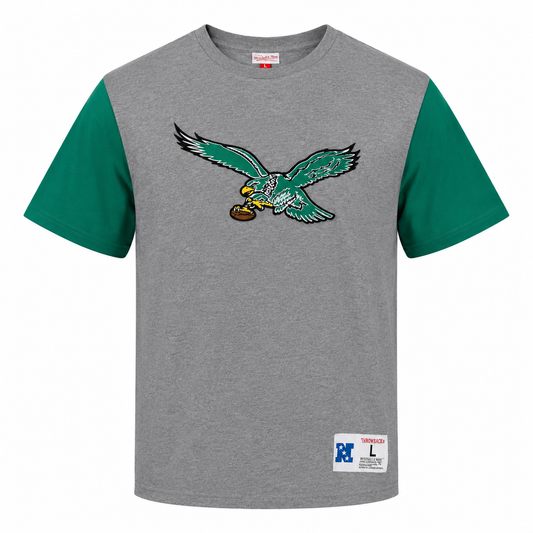 Youth Philadelphia Eagles Mitchell and Ness Gray/Kelly Colorblock T-Shirt