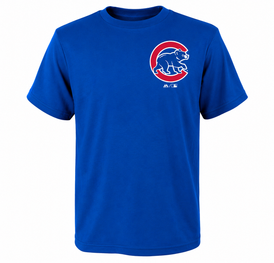Youth MLB Chicago Cubs Majestic Royal Official Wordmark T-Shirt