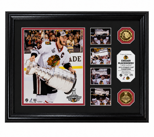 Chicago Blackhawks Highland Mint 2013 Stanley Cup Champions "Triumph" Gold Coin Mint Frame