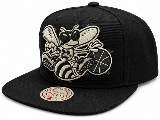 Men's Charlotte Hornets Mitchell & Ness NBA XL BWG HWC Snapback Hat