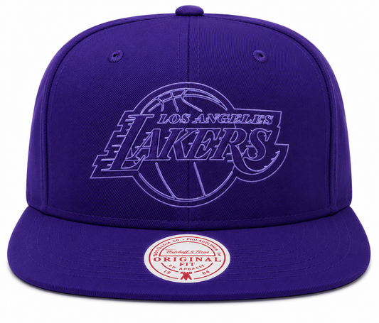 Los Angeles Lakers Mitchell & Ness Tonal Eclipse Snapback Hat- Purple