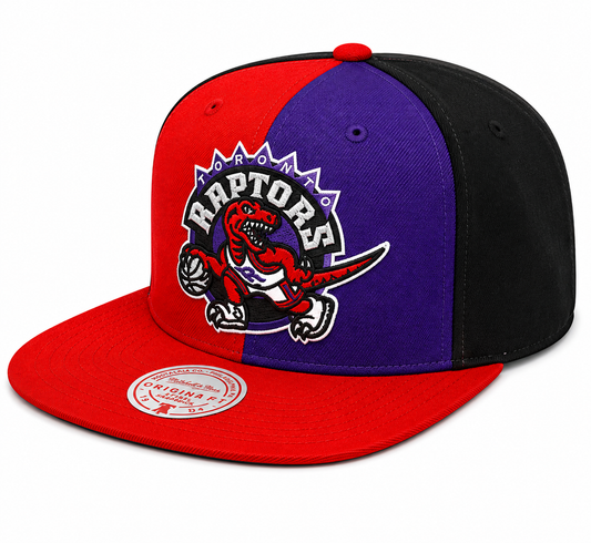 Men's Toronto Raptors Mitchell & Ness NBA Pinwheel Snapback Hat-HWC Logo
