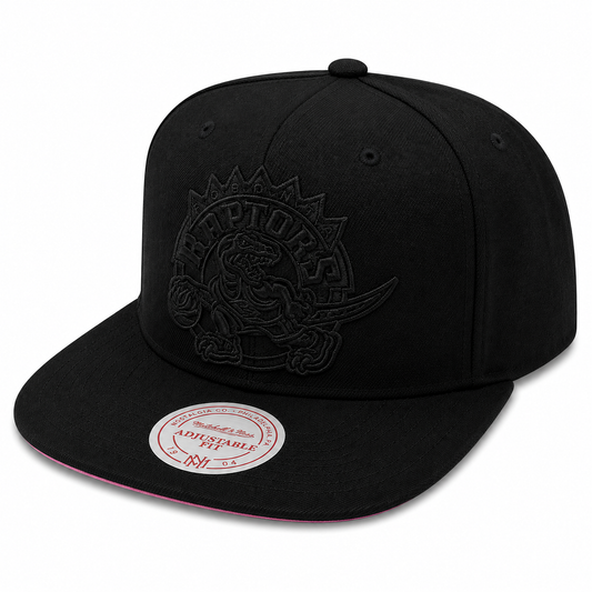 Toronto Raptors Mitchell & Ness Tonal Black Pink Moon Snapback Hat