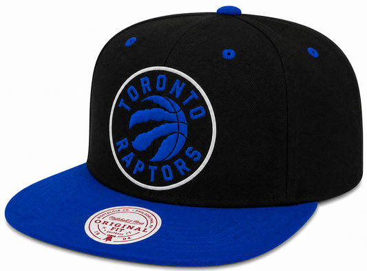 Men's Toronto Raptors Royalty Michell & Ness Snapback Hat