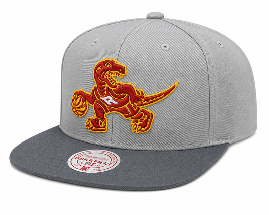 Men's Toronto Raptors NBA Cool Gray 3 HWC 2 Tone Mitchell & Ness Snapback Hat