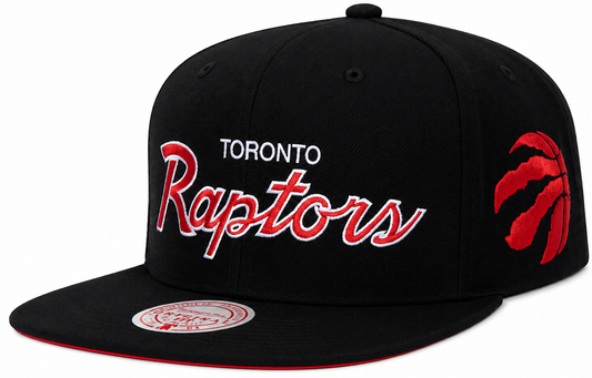 Toronto Raptors Team Script 2.0 Mitchell & Ness Snapback Hat