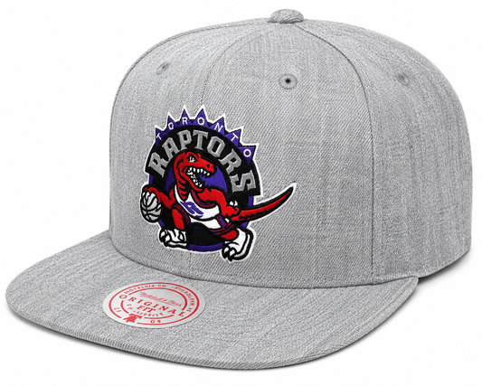 Toronto Raptors HWC Gray Heather 2.0 Mitchell & Ness Snapback Hat