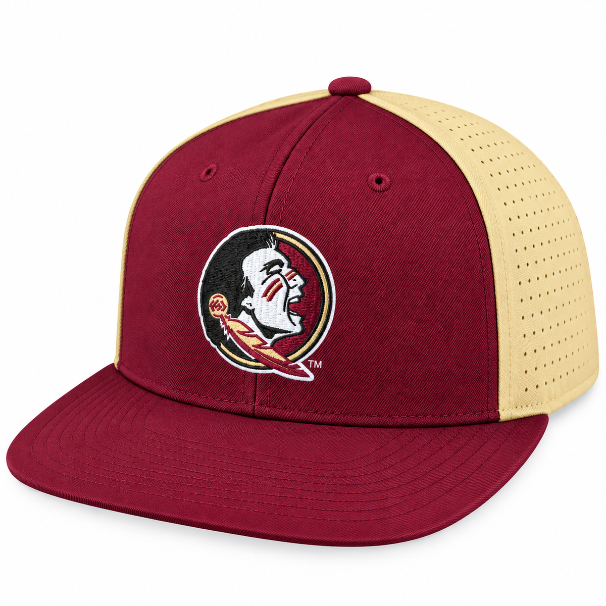 Florida State Seminoles NCAA Nike College Players True Swoosh Flex Hat