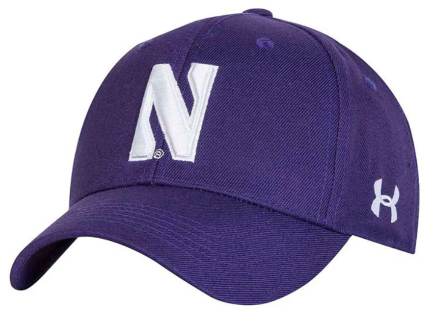 Men's Under Armour Purple Northwestern Wildcats Classic Adjustable Hat - Pro Jersey Sports