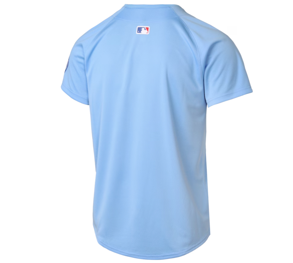 Youth Chicago Cubs Baby Blue Blues Alternate 2 Nike Limited Replica Jersey - Pro Jersey Sports