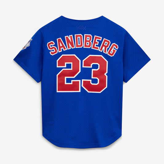 Mitchell & Ness Ryne Sandberg Chicago Cubs 1997 Authentic BP Button Down Jersey