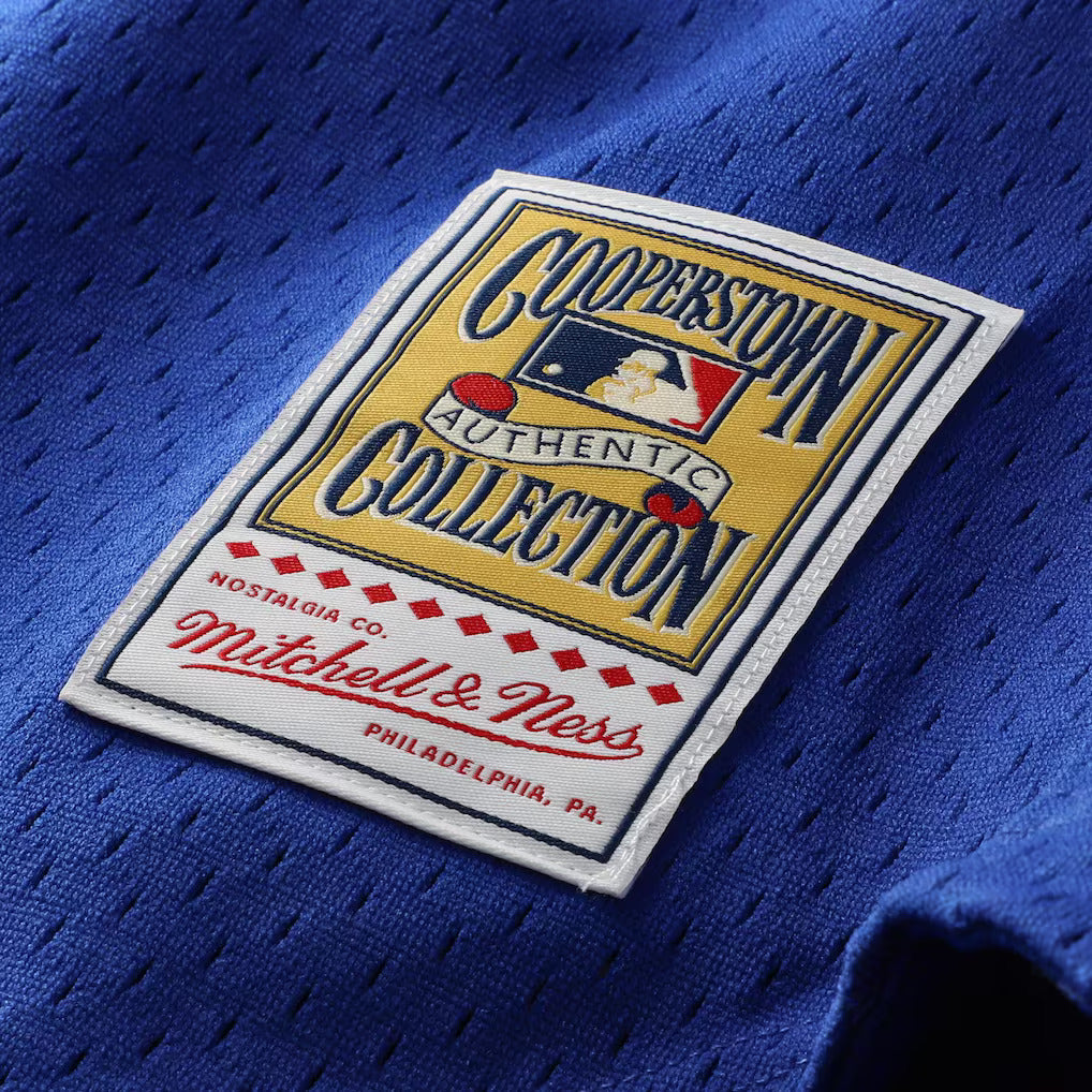 Mitchell & Ness Ryne Sandberg Chicago Cubs 1997 Authentic BP Button Down Jersey