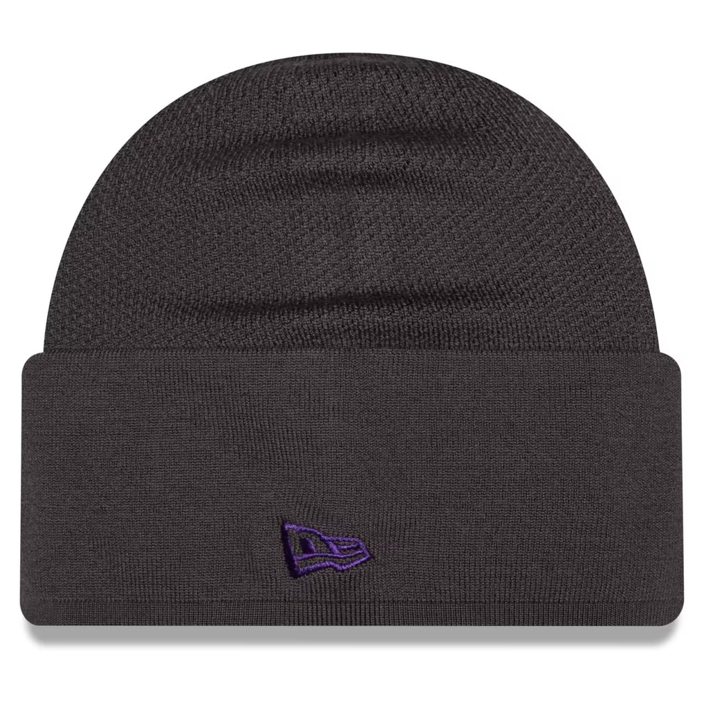 Minnesota Vikings 2026 New Era Official Sideline Gray Skully Knit Hat