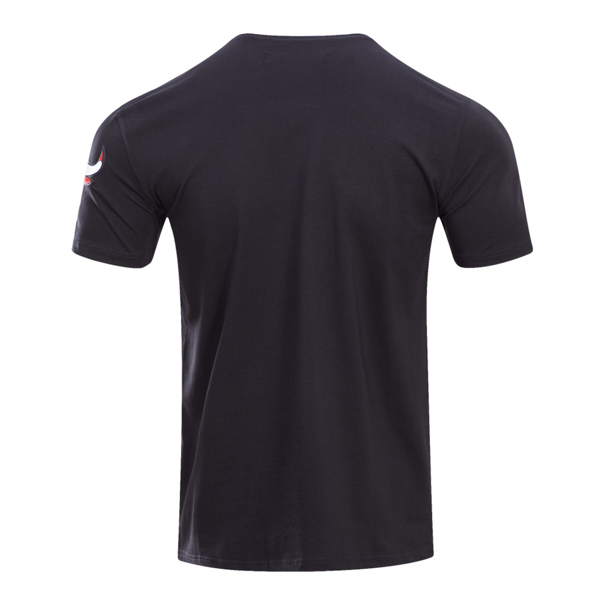 Men's Chicago Bulls Pro Standard Black Classic Bristle Slim-Fit T-Shirt - Pro Jersey Sports