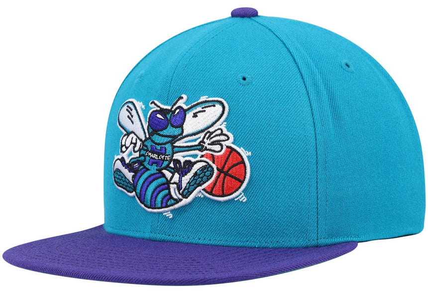 Men's Charlotte Hornets Mitchell & Ness 2 Tone Teal/ Purple Hardwood Classics 2.0 Snapback Adjustable Hat - Pro Jersey Sports