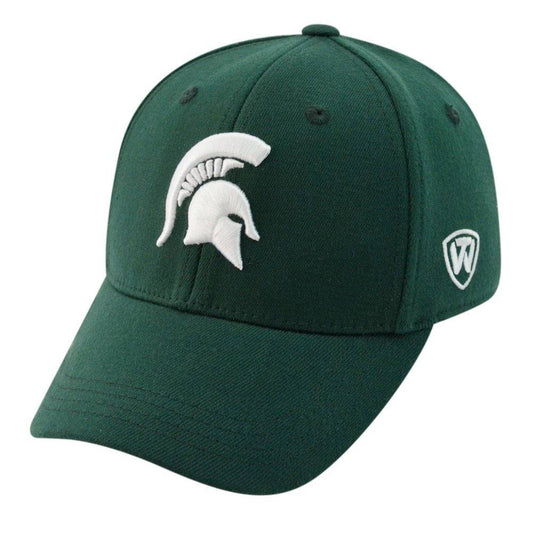 Mens NCAA Michigan State Spartans B.A.F. Green Memory Fit Hat - Pro Jersey Sports