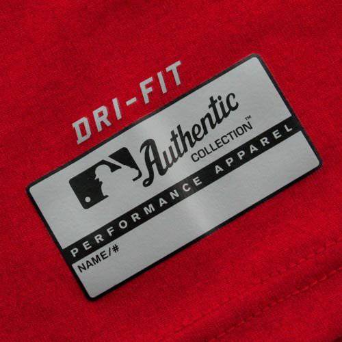 NIKE Washington Nationals Red Team Issue Legend Logo Red Performance T-shirt - Pro Jersey Sports