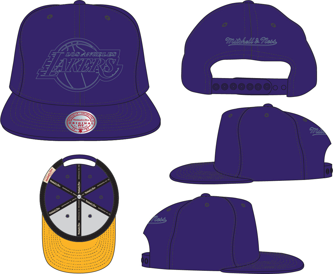 Los Angeles Lakers Mitchell & Ness Tonal Eclipse Snapback Hat- Purple - Pro Jersey Sports