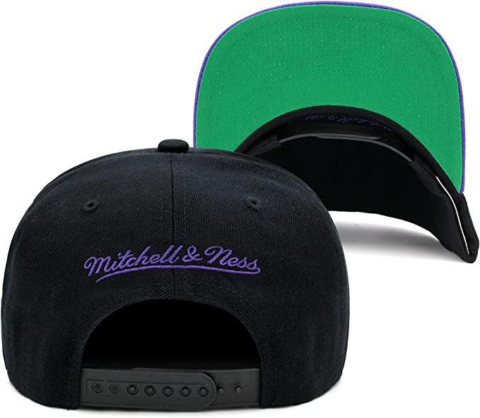 Toronto Raptors 2 Tone Black/Purple Hardwood Classics Team Script 2.0 Mitchell & Ness Snapback Hat - Pro Jersey Sports