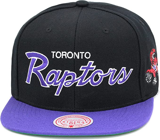 Toronto Raptors 2 Tone Black/Purple Hardwood Classics Team Script 2.0 Mitchell & Ness Snapback Hat - Pro Jersey Sports