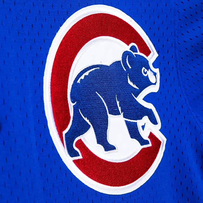 Youth Chicago Cubs Ryne Sandberg Mitchell & Ness Royal Cooperstown Collection Mesh Batting Practice Jersey - Pro Jersey Sports