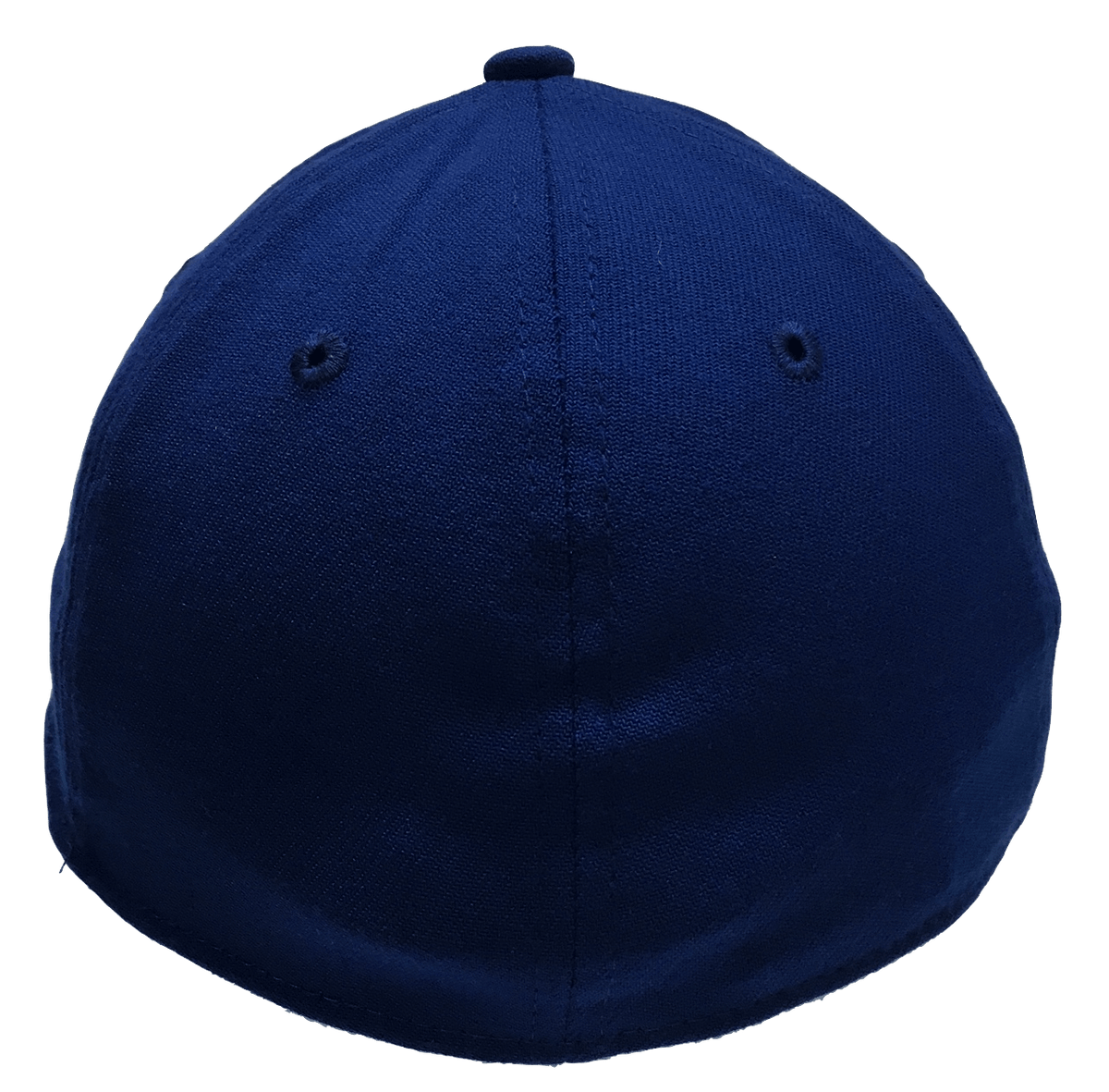Men's Chicago Cubs 2016 NL Central Division Champions New Era Royal MLB Team 39THIRTY Flex Hat - Pro Jersey Sports - 4