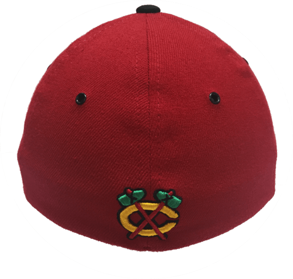 Mens NHL Chicago Blackhawks Pulsar Flex Fit Hat By Zephyr - Pro Jersey Sports
