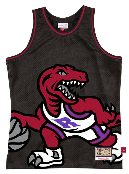 Men's Toronto Raptors Mitchell & Ness Black Hardwood Classics Blown Out Fashion Jersey - Pro Jersey Sports