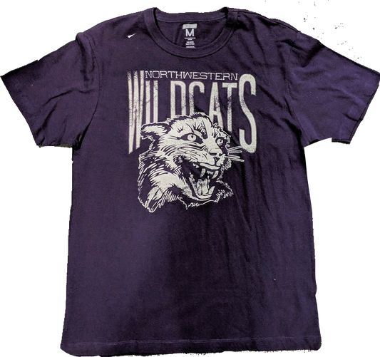 Tailgate Men's Northwestern Wildcats Mascot Honors Purple T-Shirt