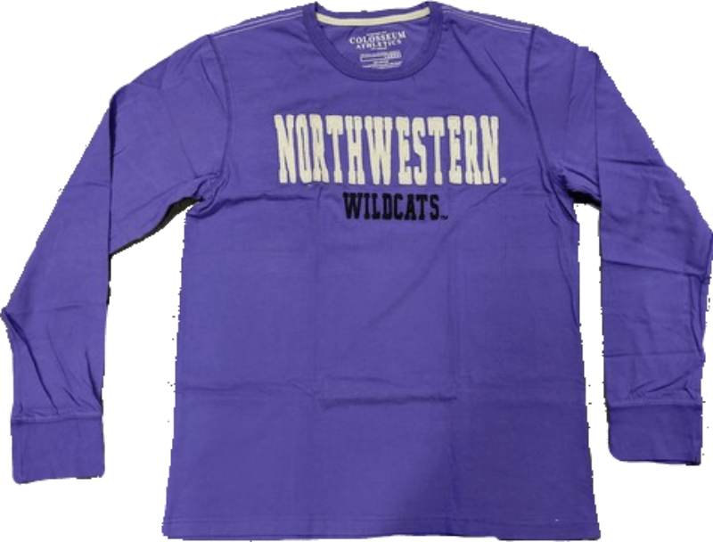 Men's NCAA Northwestern Wildcats Heavyweight Arch Script Long Sleeve Tee By Colosseum - Pro Jersey Sports
