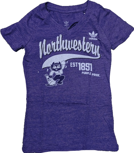 Women's adidas Purple Northwestern Wildcats Fearless Tri-Blend V-Neck T-Shirt - Pro Jersey Sports