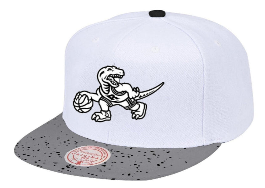 Men's Toronto Raptors NBA Cement Top HWC Mitchell & Ness Snapback Hat - Pro Jersey Sports