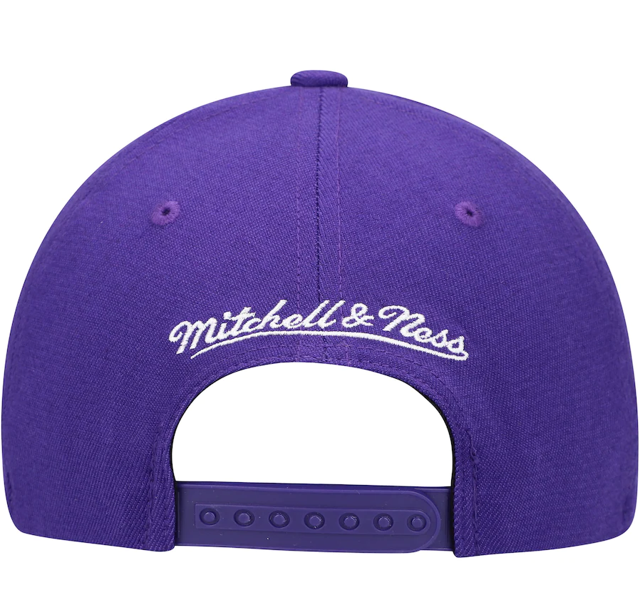 Mens NBA Toronto Raptors Purple Team Ground Snapback Hat By Mitchell And Ness - Pro Jersey Sports
