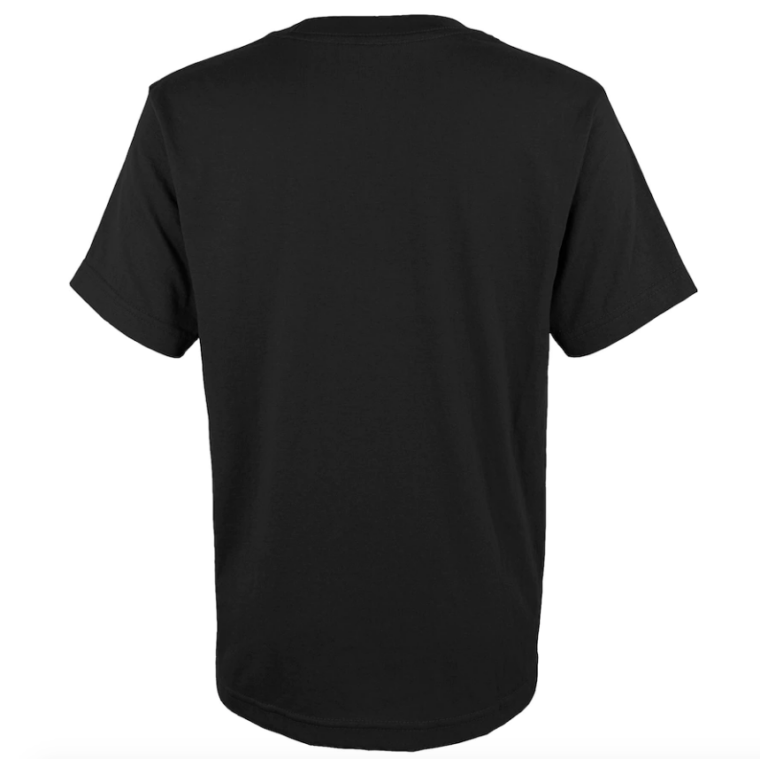 Youth Chicago White Sox Black 2021 AL Central Division Champions Locker Room T-Shirt - Pro Jersey Sports