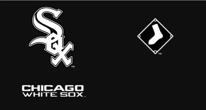 Chicago White Sox™ Home Run 20 oz. Stainless Steel Tumbler - Pro Jersey Sports