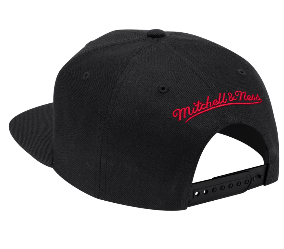 Men's Toronto Raptors 2-Tone 2.0 Snapback Hat By Mitchell & Ness - Pro Jersey Sports