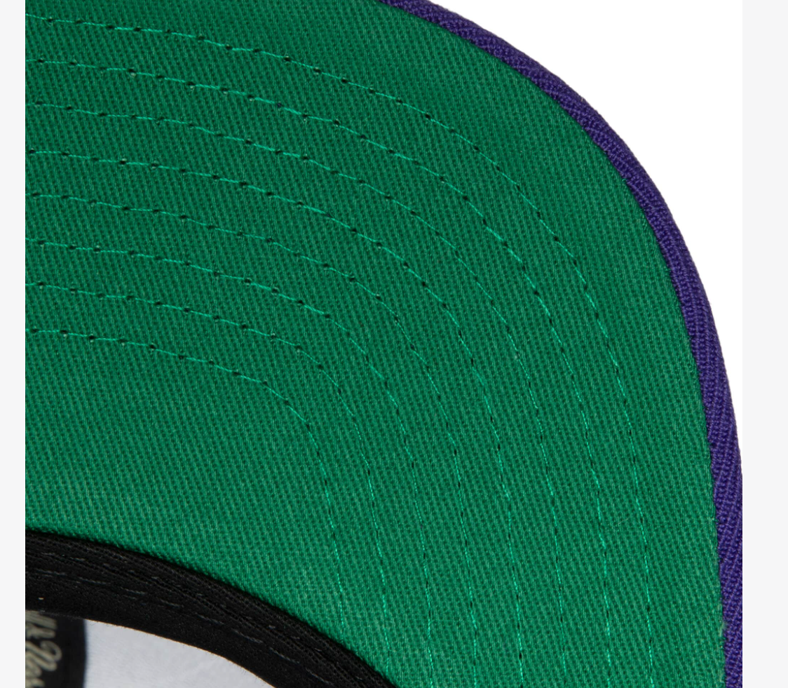 Men's Toronto Raptors Ground 2.0 Purple Snapback Hat By Mitchell & Ness - Pro Jersey Sports