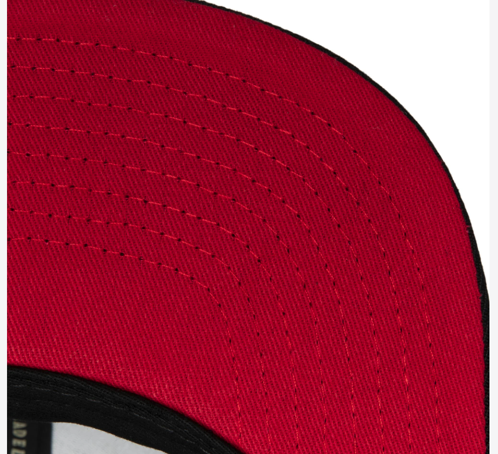 Toronto Raptors Team Script 2.0 Mitchell & Ness Snapback Hat - Pro Jersey Sports