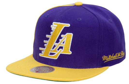 Los Angeles Lakers NBA Rear Script Deadstock Mitchell & Ness Snapback Hat - Pro Jersey Sports